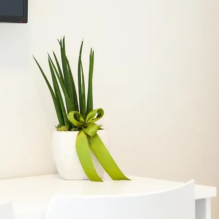 A Santa Rosa * Lecce